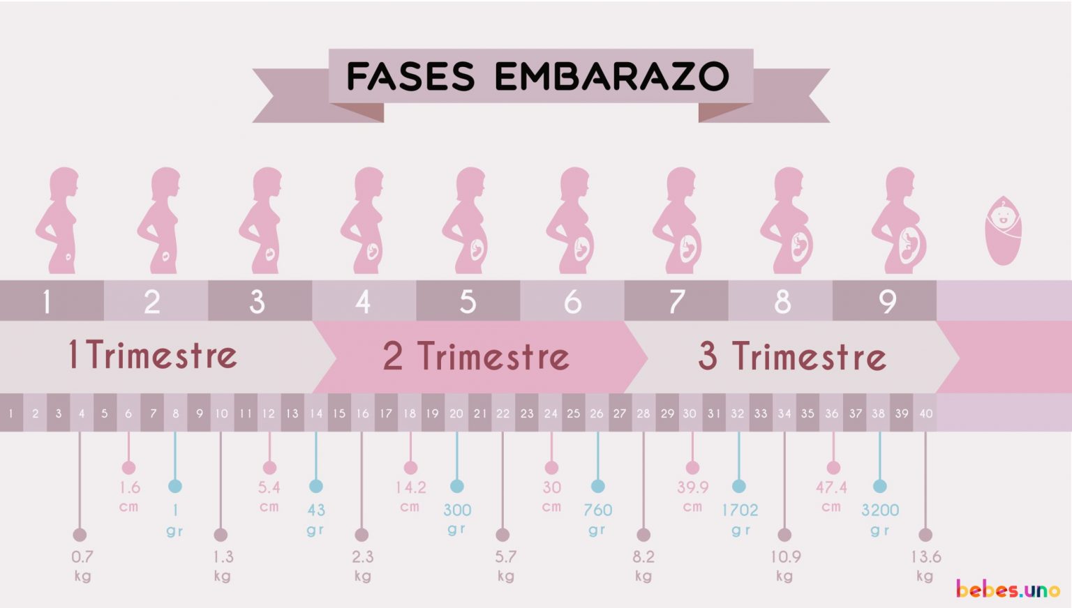 Los 50 Mejores Consejos Para Tu Embarazo Que Jamás Te Han Dado