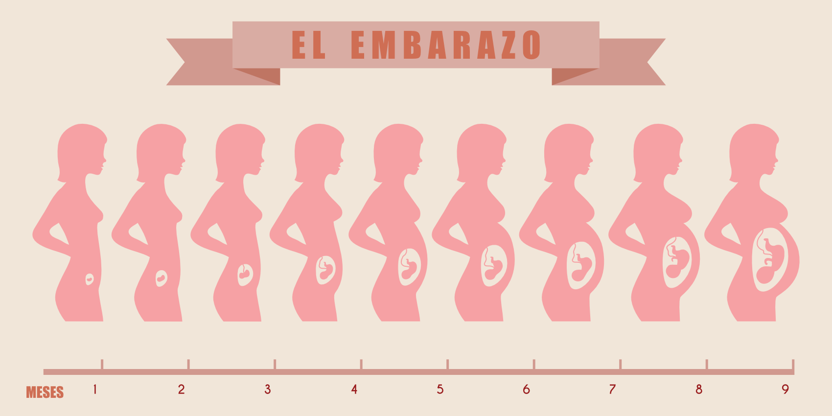 Los 50 Mejores Consejos Para Tu Embarazo Que Jam s Te Han Dado