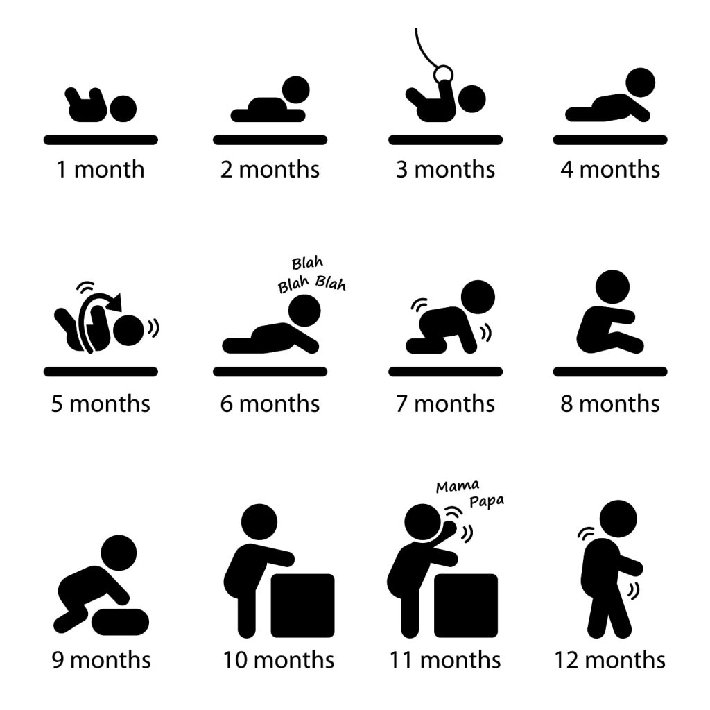 ¿Cuáles on los principales hitos en el desarrollo del bebé desde el nacimiento hasta los 12 meses de edad?